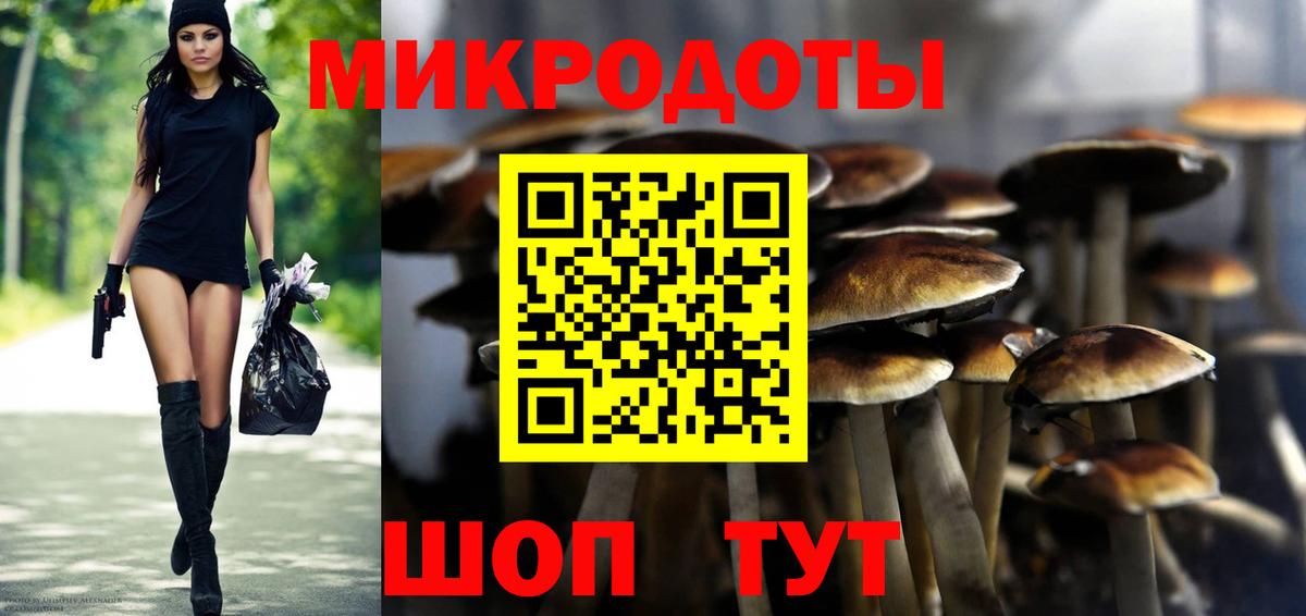 Галлюциногенные грибы прущие грибы  Вход с VPN  Псилоцибиновые грибы мухоморы  Ессентуки 